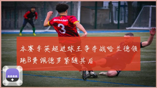 本赛季英超进球王争夺战哈兰德领跑B费佩德罗紧随其后
