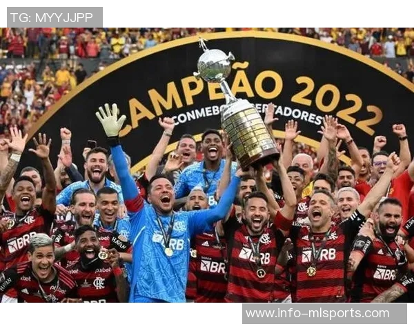 弗拉门戈再创辉煌成为历史第5次巴甲与解放者杯双冠王